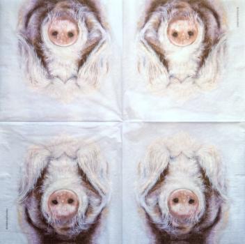 080 Pigs - 3-ply - Nouveau
